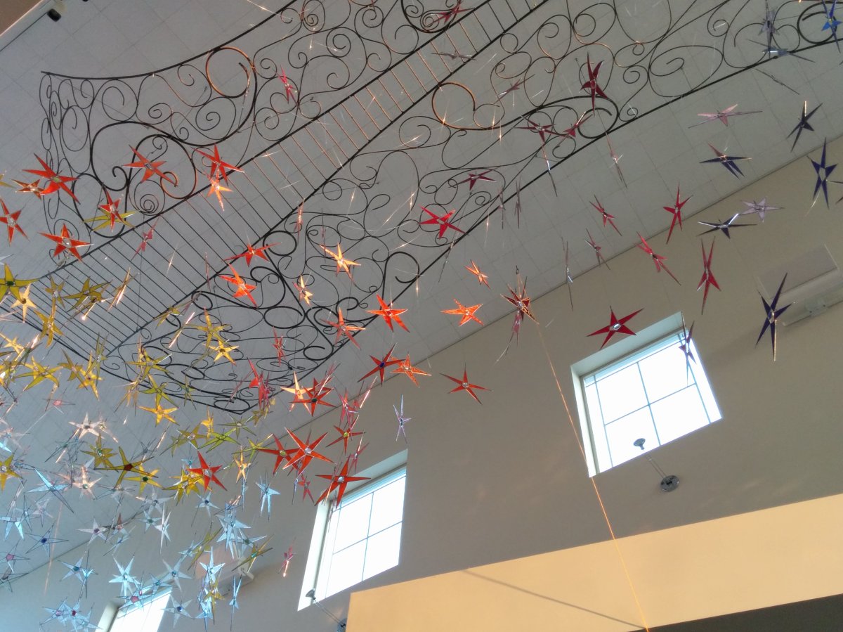 Make-a-Wish anniversary and Star-raising&nbsp;ceremony